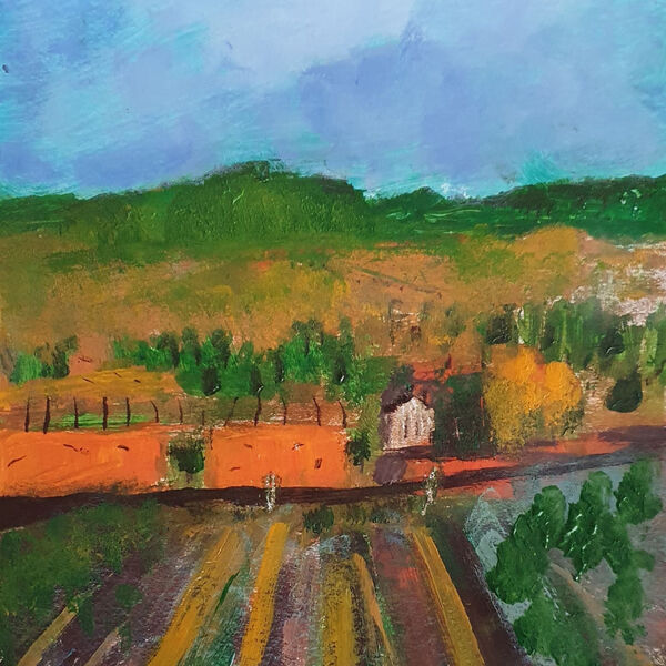 A colourful scene