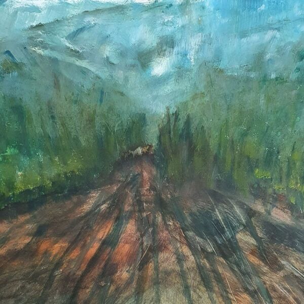 Forest track