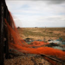 Dungeness Nets