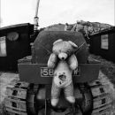 Somebody Still Loves Him