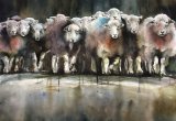 Following on behind Photo reference Ian Lawson