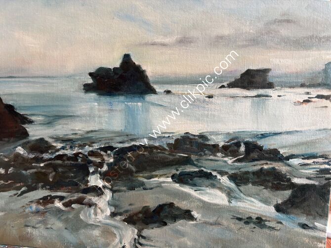 Fishing cove . Dawn