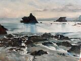 Fishing cove . Dawn