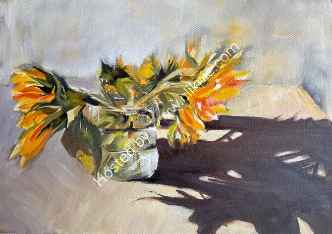 Late afternoon sun 5