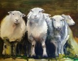 Three sheep