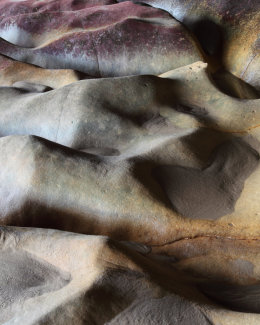 Sandstone Detail #1, Clashach Cove