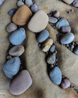 Foreshore Detail, Clashach Cove
