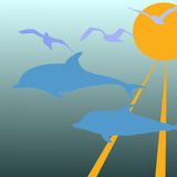 Dolphins with sea gulls