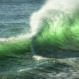 Back current, Cascais
