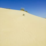 Grass with dunes and sky