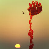 Mannequin hand with seagull