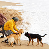 Walking the dogs, Estoril