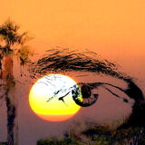 Eye and setting Sun