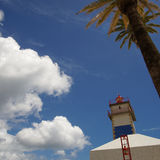 Lighthouse with palms
