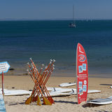 Paddles and board