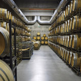 Wine maturing in oak casks, Portugal