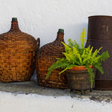 Wine bottles and fern