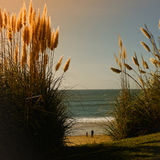 On the beach early morning, Carcavelos