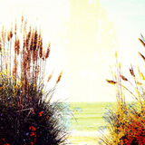 Man and boy with Pampas grass