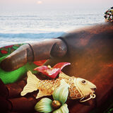 Silver fish and sunset