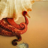 Sea denizen