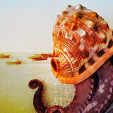 Octopus and boats