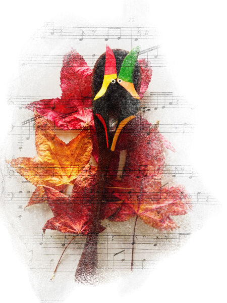 Parrots with Autumn leaves