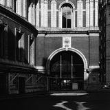 Bright shadows, Royal Albert Hall