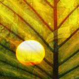 Sun with tropical birds