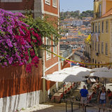 Stairs with Bougainvillea