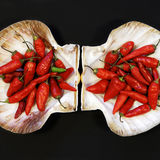 Chillies in seashells