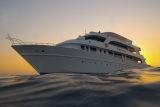 Red Sea 2006