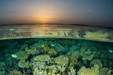 Red Sea June 2014
