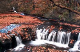 Open Colour _horse shoe falls 7666