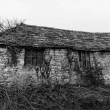 Abandoned-1