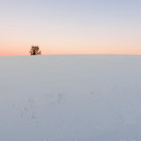 Cotswold Winter