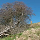 Cromwell's seat near Winchcombe-~2