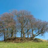Cromwell's seat near Winchcombe