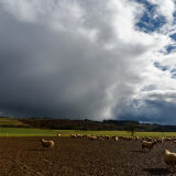 Guiting Power