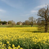 Guiting Power