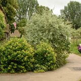 Keith & Hope G July 2024