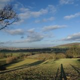 Long shadows of winter