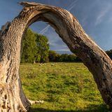 Natural arch