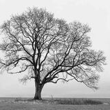 Notgrove Estate workshop March 2023 #2