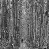 Notgrove Estate workshop March 2023