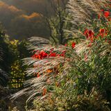 Painswick area #3