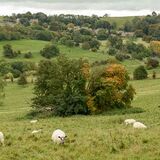 Snowshill 1