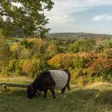 Walking tour Oct 29 2023-2