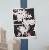 deadly coordinates - jasmine