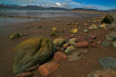 An image from "Farewell to Stromness"